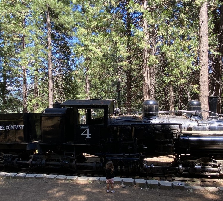 Sierra Nevada Logging Museum (Arnold,&nbspCA)